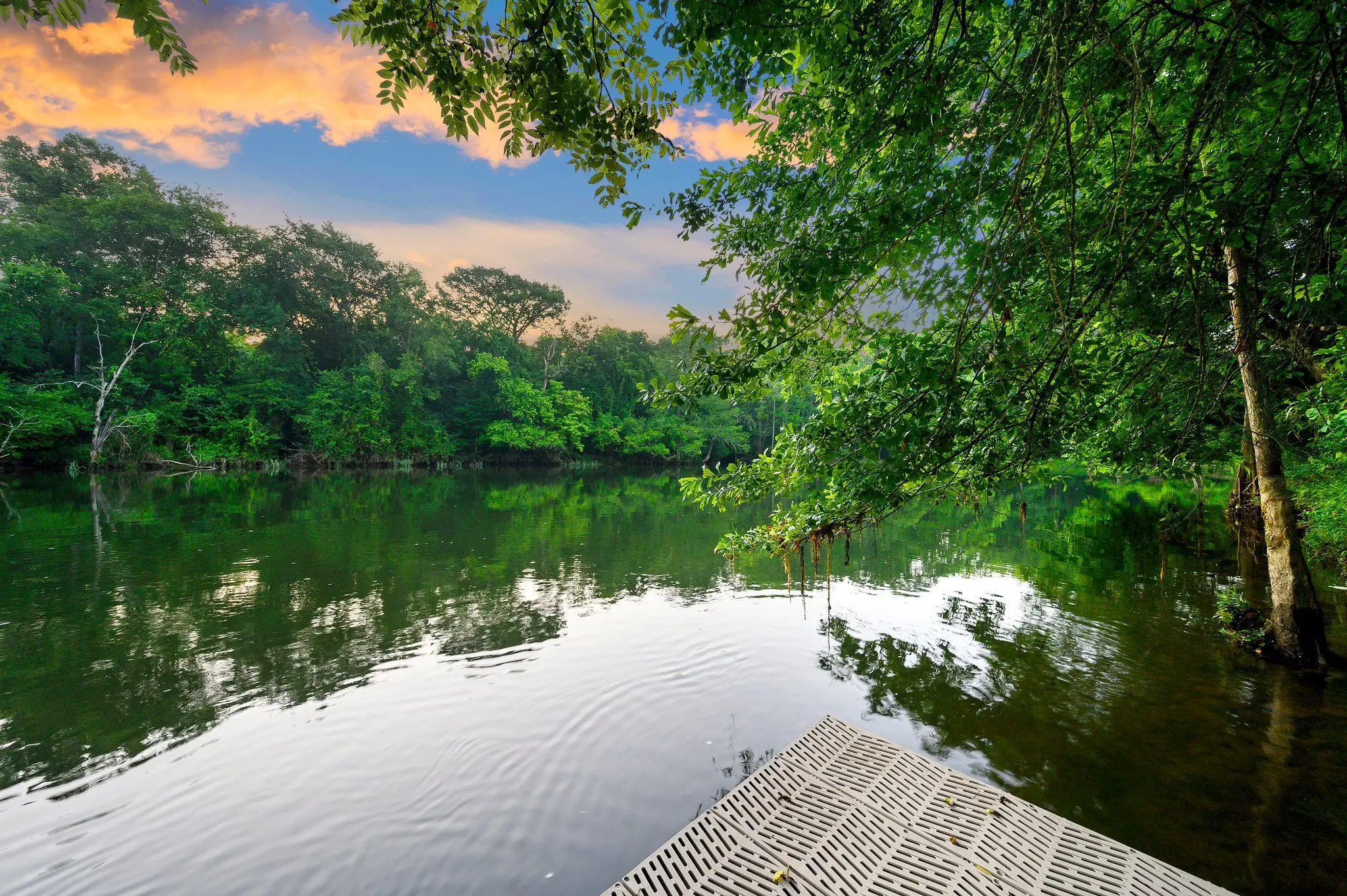 Views from the floating dock!