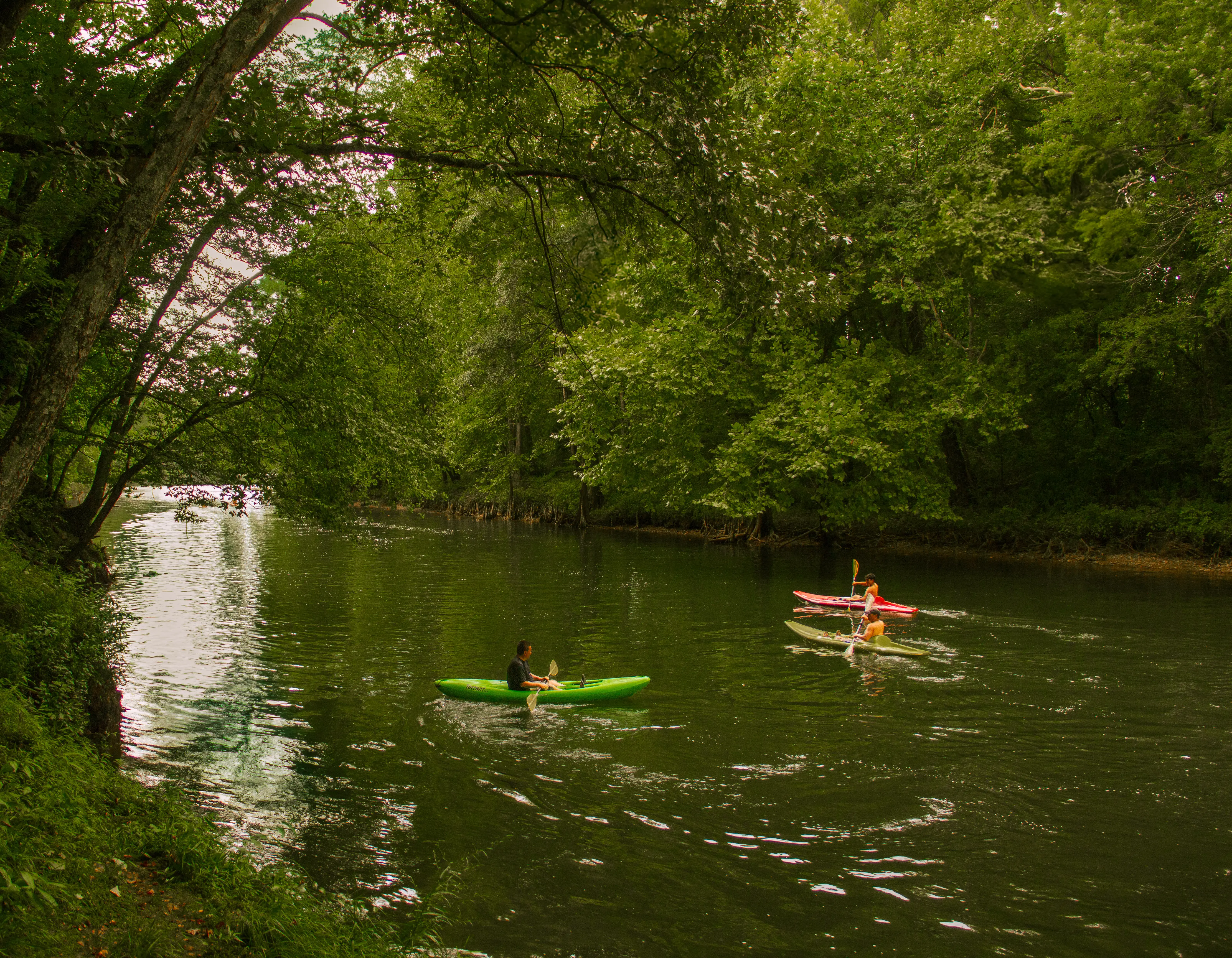 Kayaks included in the rental price!