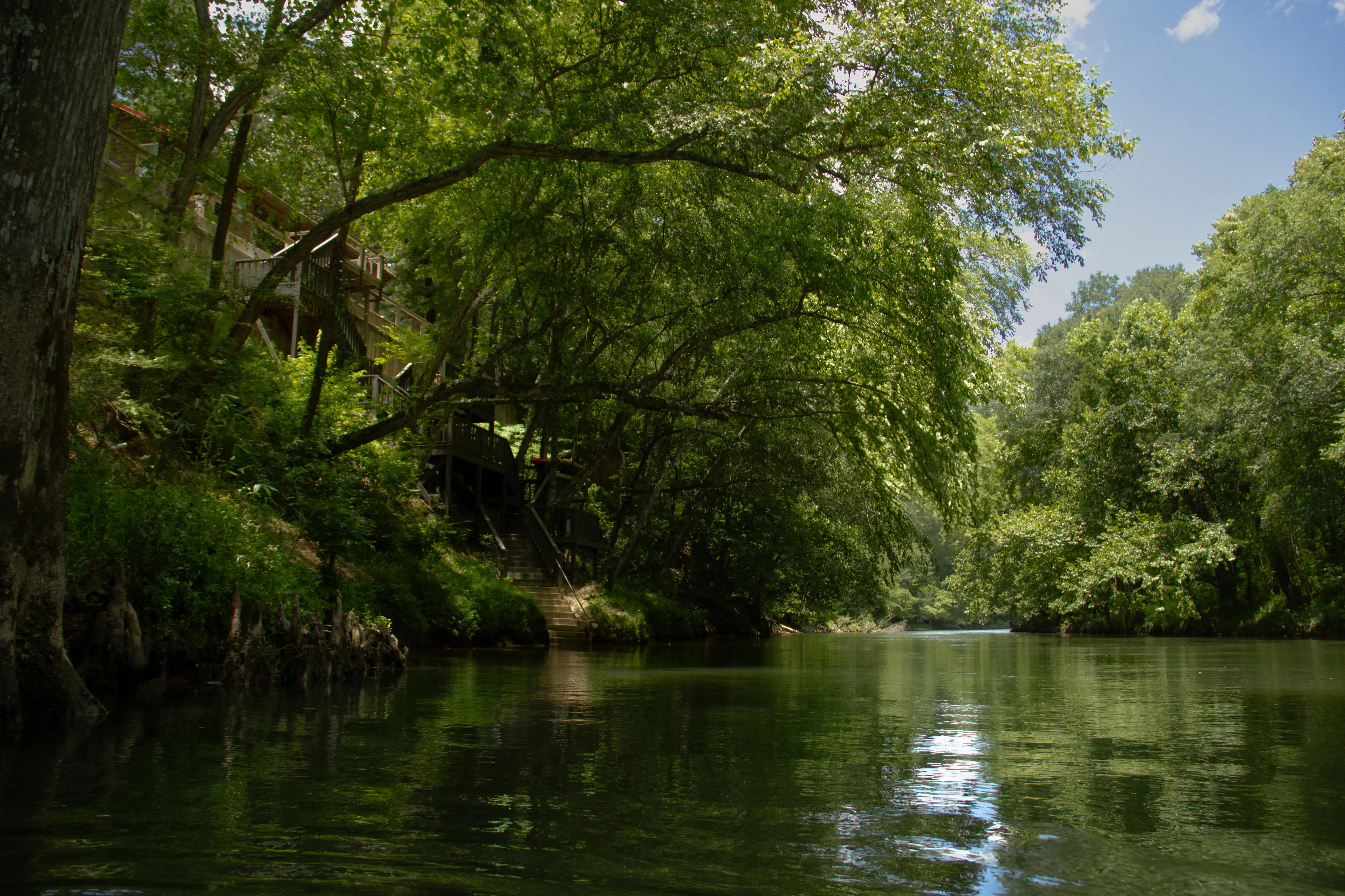 View of the cabin from the river!