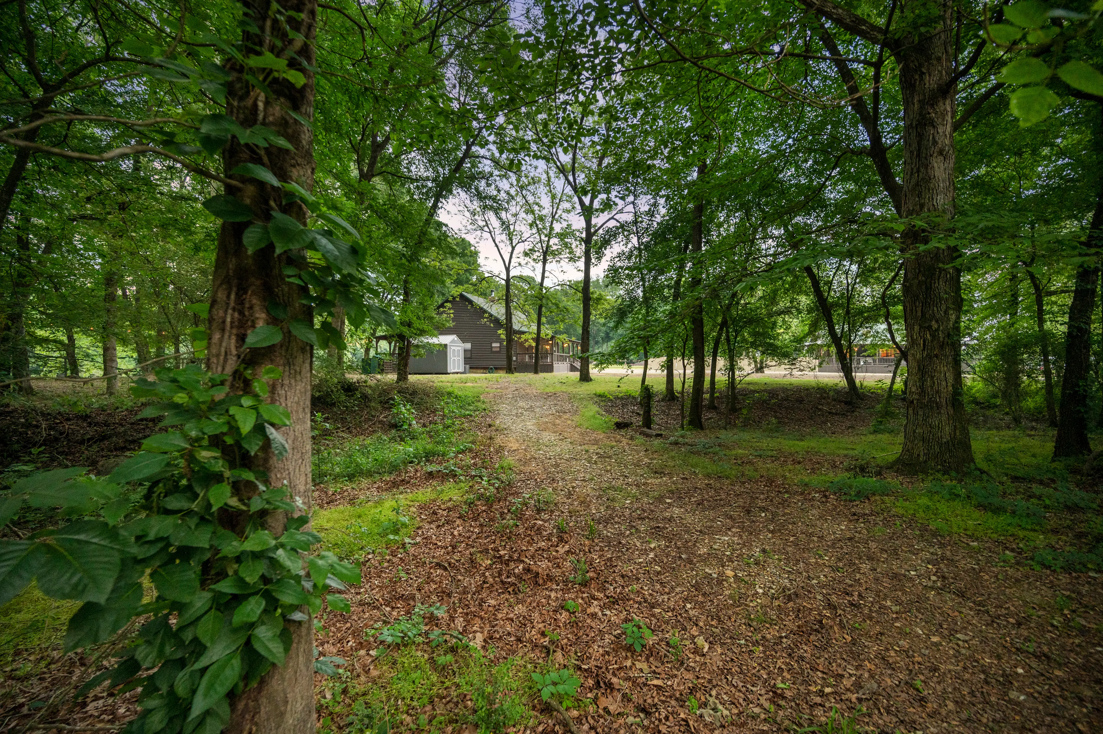 The path to the playset.