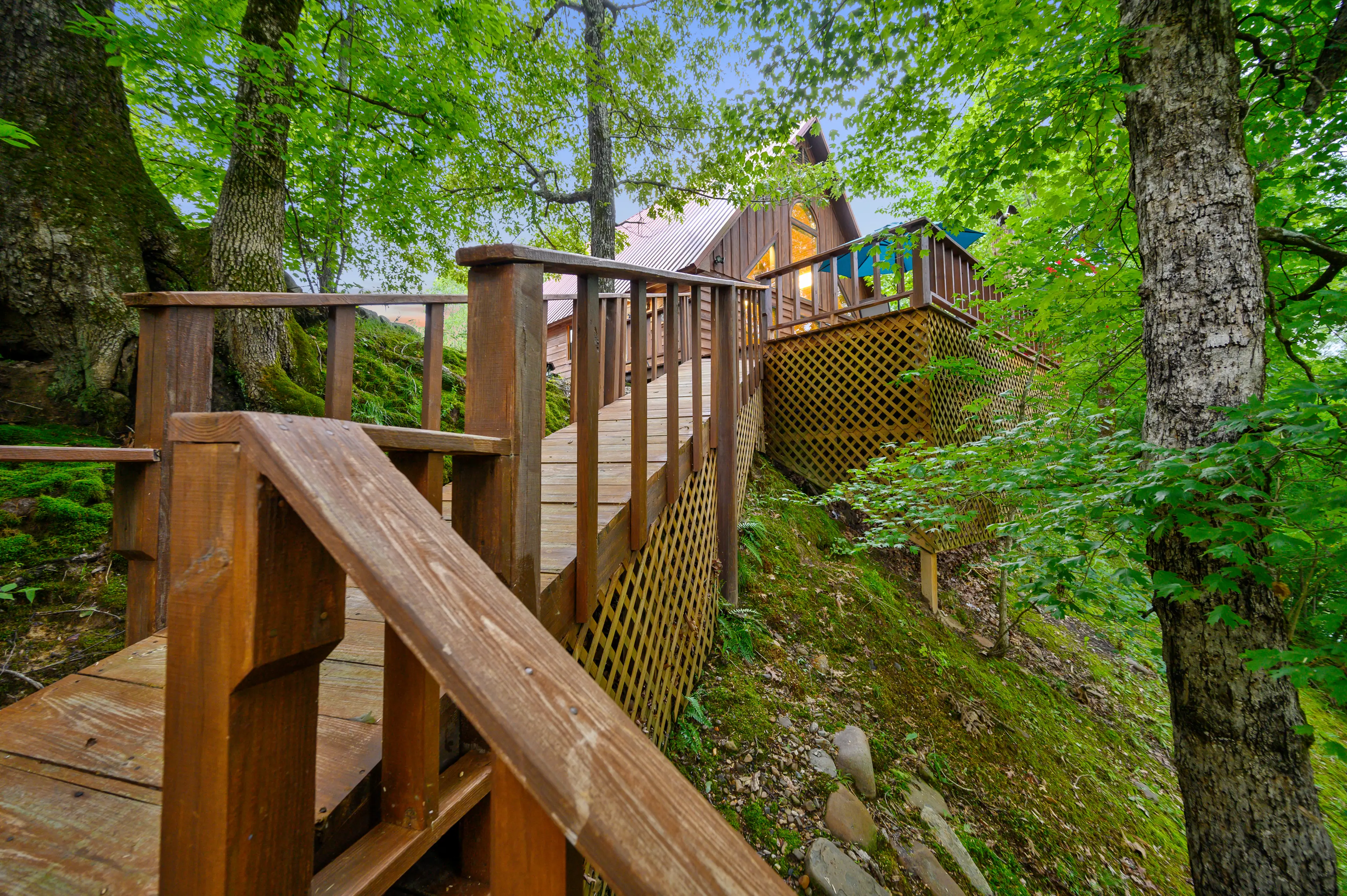 This is looking back up to the cabin from the river deck.