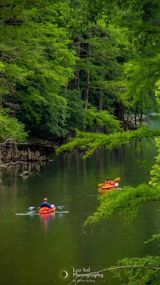 Kayaks are included in the rental!