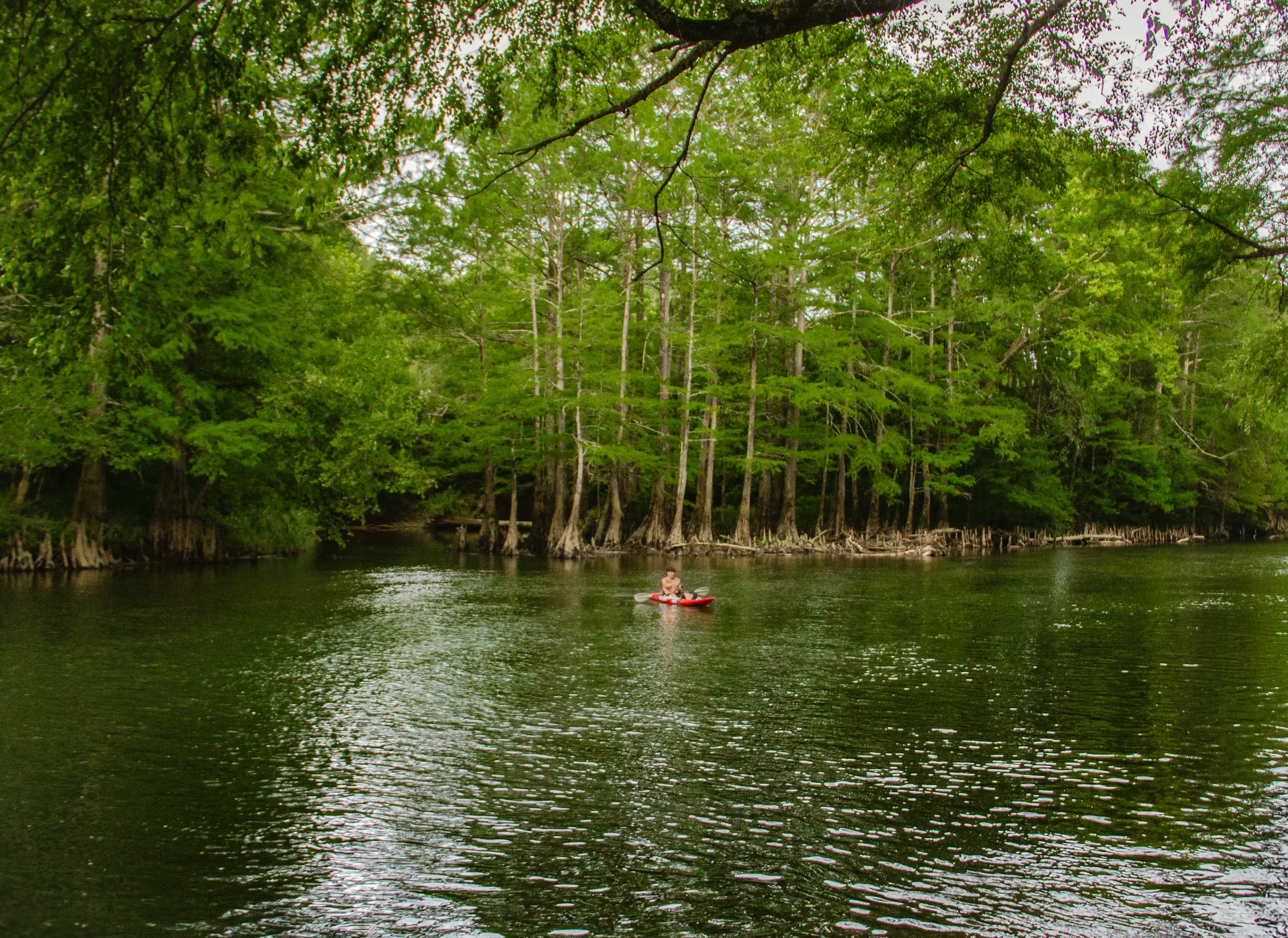 Kayaks included in rental!