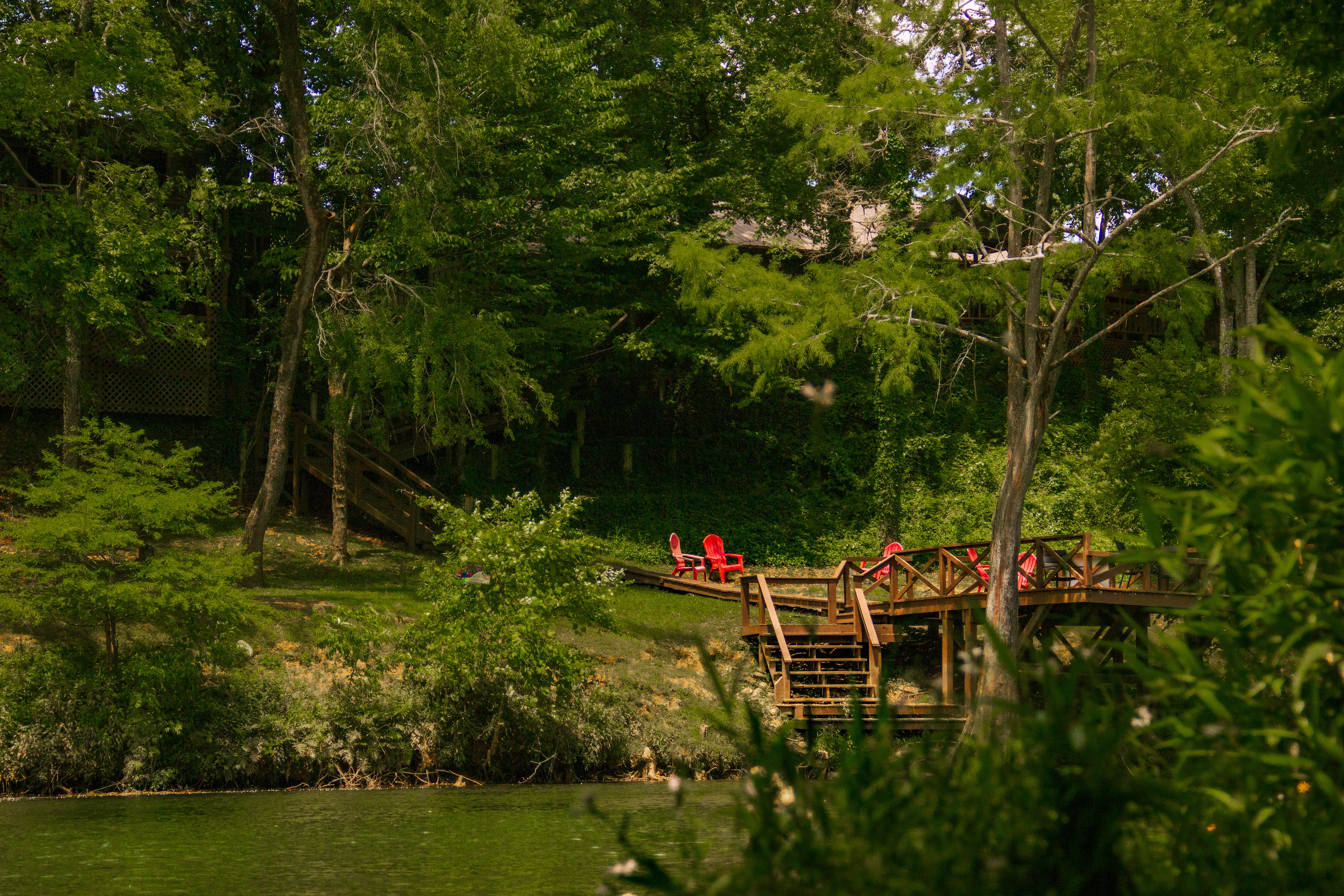 View from the river looking at the cabin