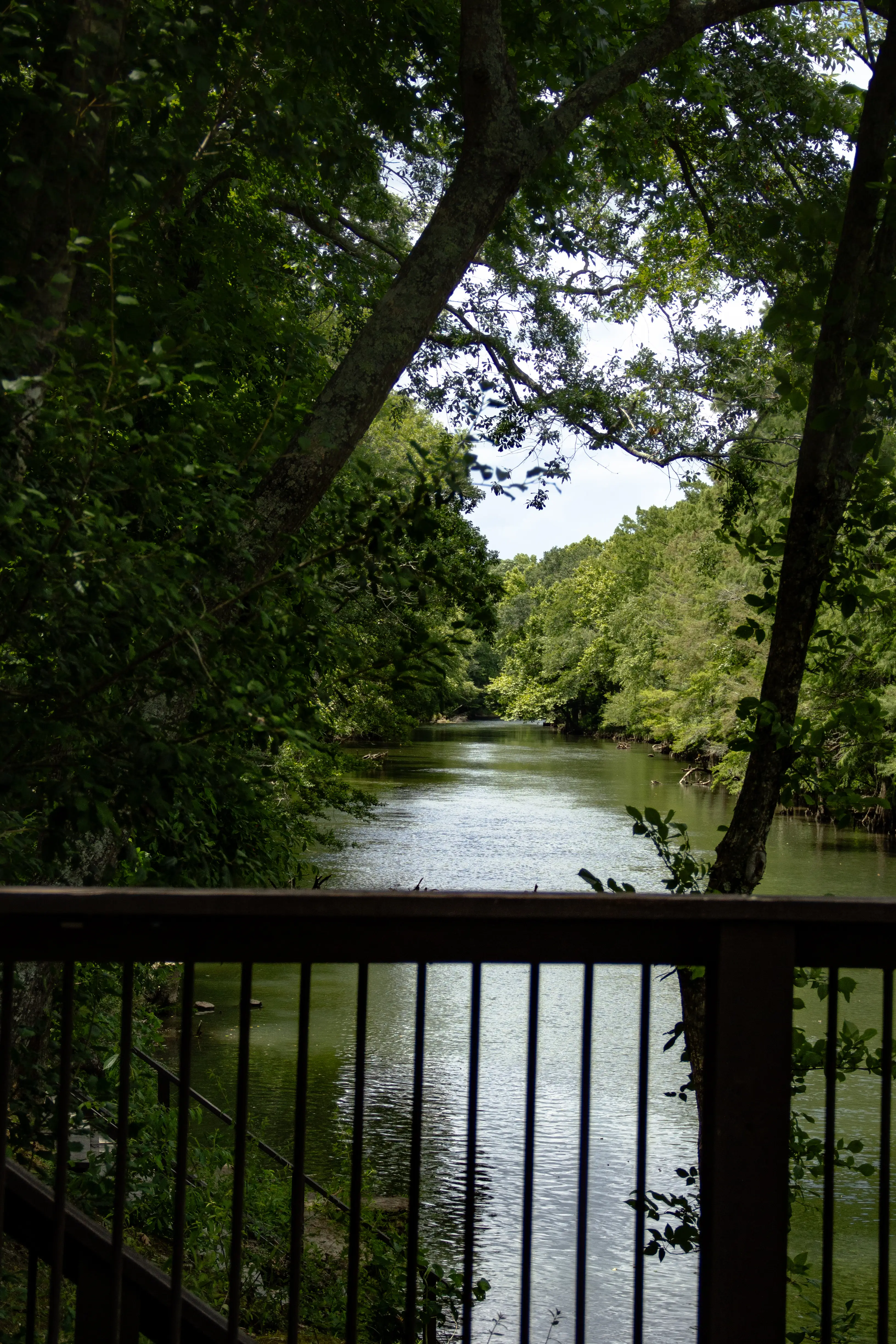 View from the river deck!